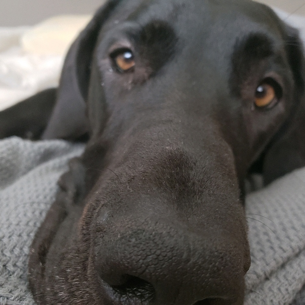 Meet your Posher, Elizabeth